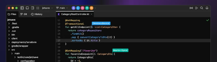 IntelliJ Fleet - Mein erster Eindruck Bild